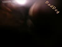 Older women shaggy slit full of dog cum during Zoophilia animal sex